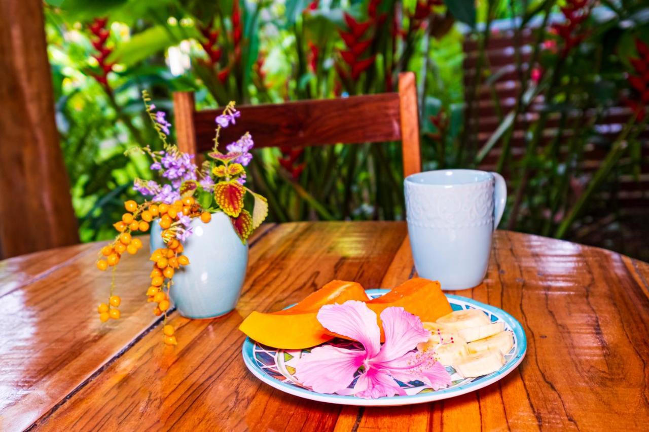 El Nido Jungle Lodge Puerto Viejo de Talamanca Экстерьер фото