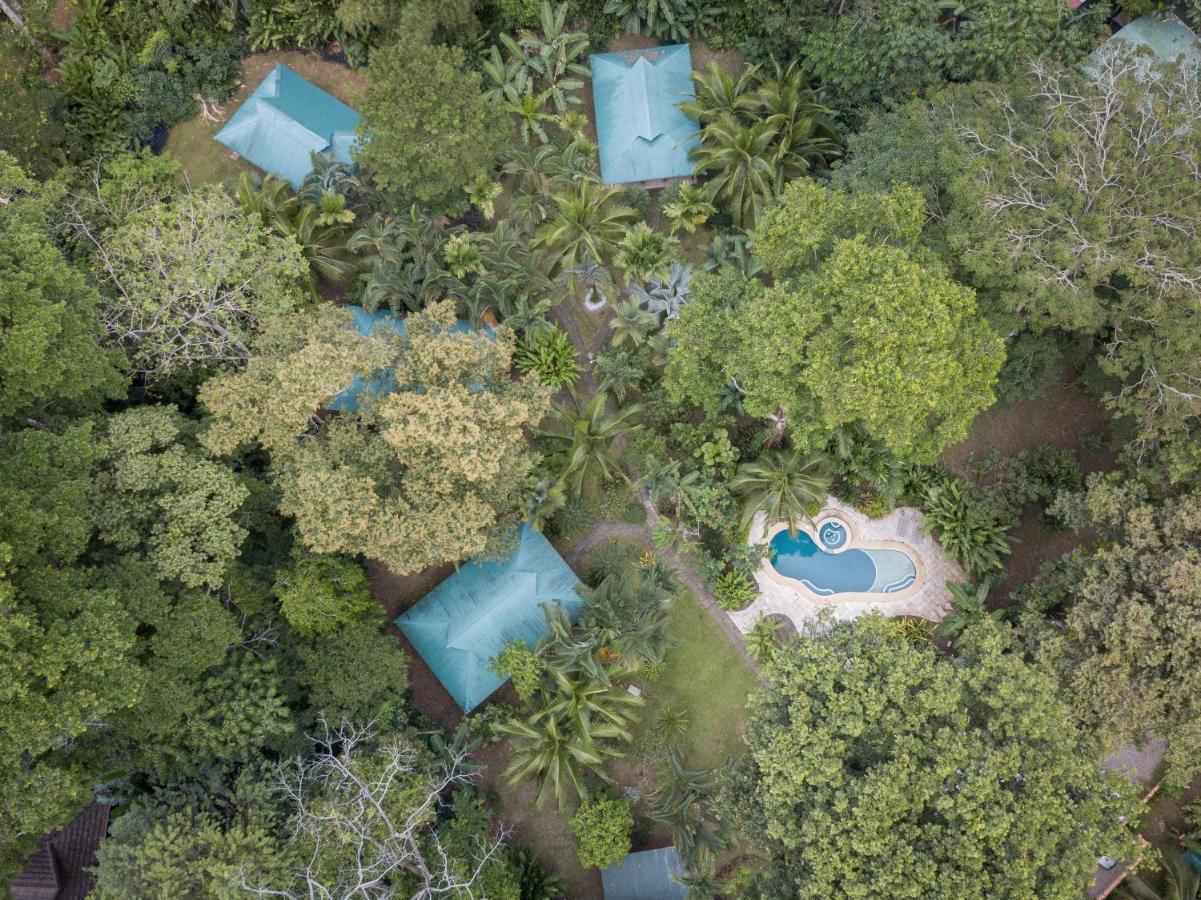 El Nido Jungle Lodge Puerto Viejo de Talamanca Экстерьер фото