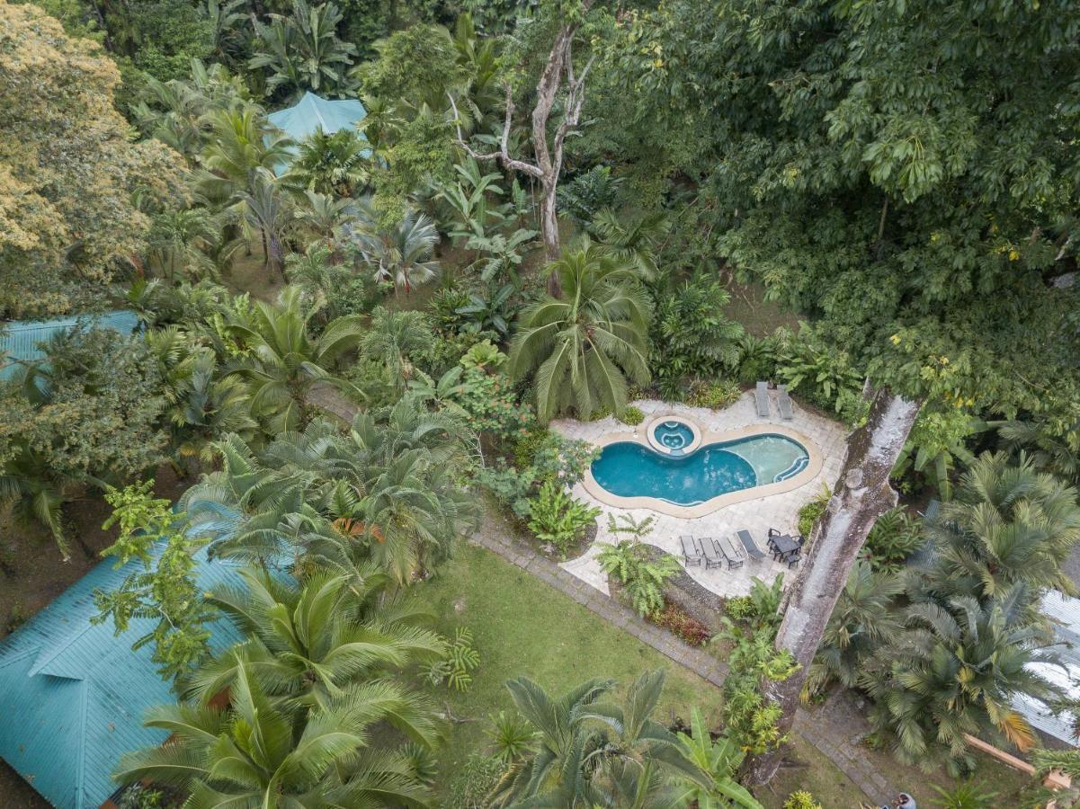 El Nido Jungle Lodge Puerto Viejo de Talamanca Экстерьер фото