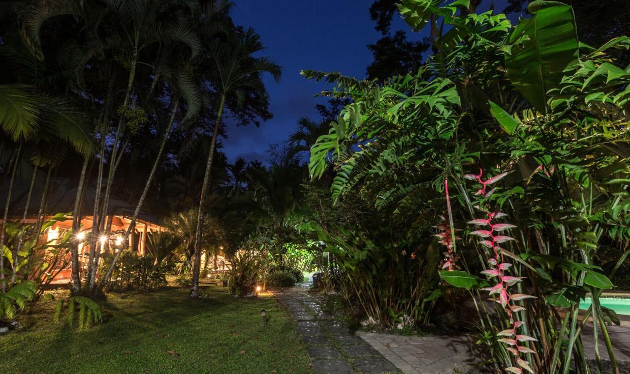 El Nido Jungle Lodge Puerto Viejo de Talamanca Экстерьер фото