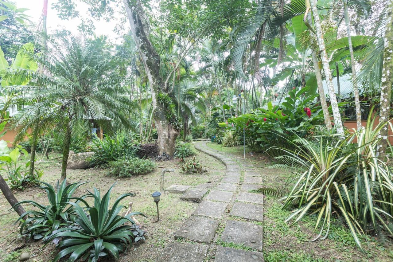 El Nido Jungle Lodge Puerto Viejo de Talamanca Экстерьер фото
