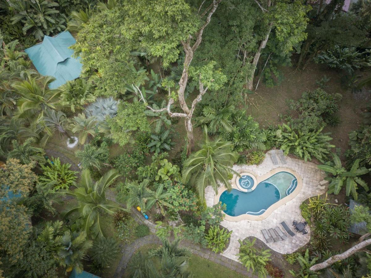 El Nido Jungle Lodge Puerto Viejo de Talamanca Экстерьер фото