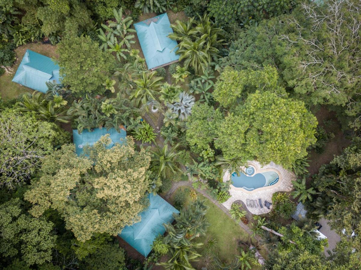 El Nido Jungle Lodge Puerto Viejo de Talamanca Экстерьер фото
